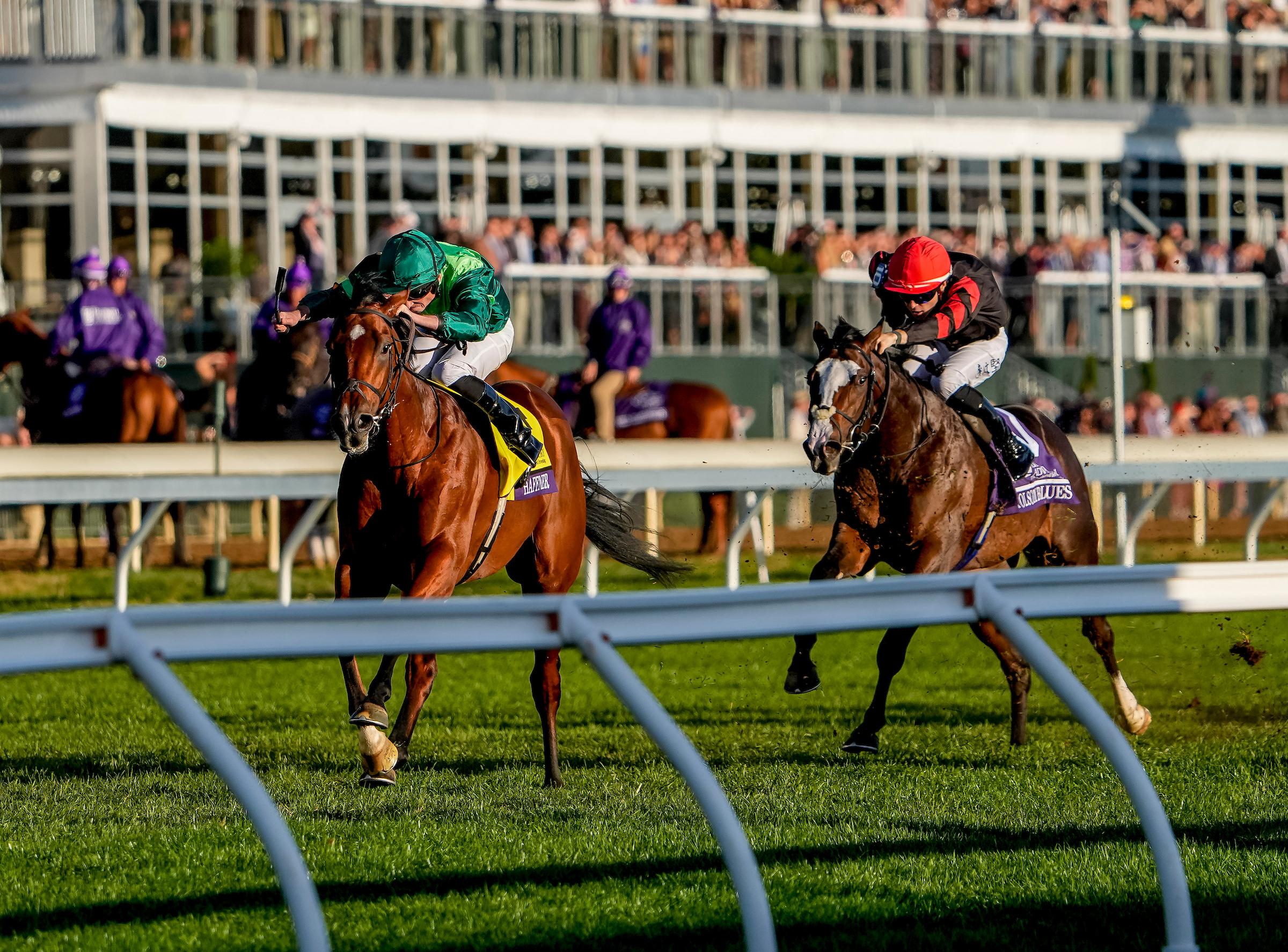 Haffner, Breeders' Cup Juvenile Turf, Keeneland, horse racing, America's Best Racing, ABR